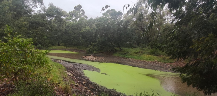 3 Bedroom Property for Sale in Greenbushes Eastern Cape